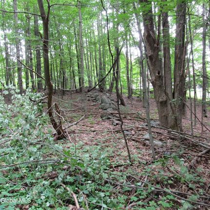 Property for sale in Saratoga County, New York