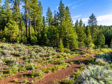 Property for sale in Modoc County, California