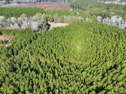 Undeveloped Land for sale in Hampton County, South Carolina