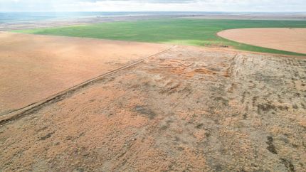 Farm Property for sale in Lamb County, Texas