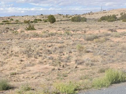 Property for sale in Apache County, Arizona