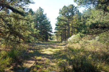 Timberland Property for sale in Catahoula Parish, Louisiana