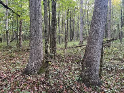 Property for sale in Fayette County, Pennsylvania