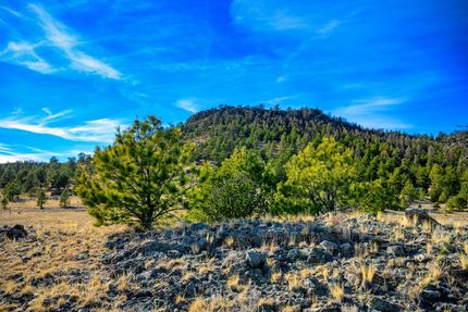 Property for sale in Park County, Colorado