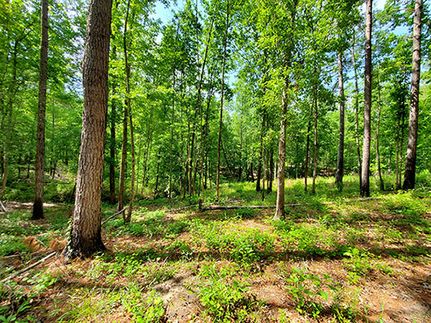 Hunting Land for sale in Glascock County, Georgia