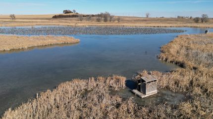 Farm Property for sale in Weld County, Colorado