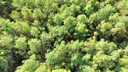 Residential Property for sale in Angelina County, Texas