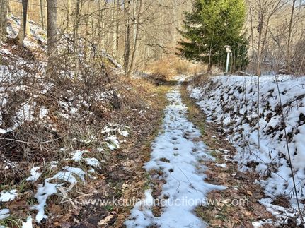 Hunting Land for sale in Nicholas County, West Virginia