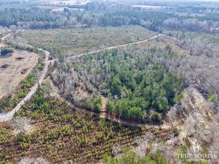Timberland Property for sale in Bamberg County, South Carolina