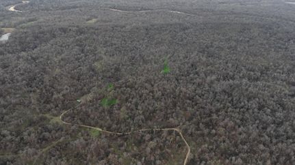 Timberland Property for sale in Claiborne County, Mississippi