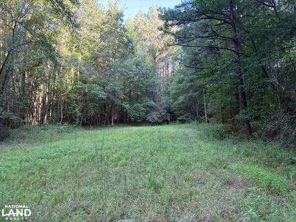 Hunting Land for sale in Tuscaloosa County, Alabama