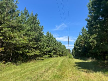 Undeveloped Land for sale in Tallapoosa County, Alabama