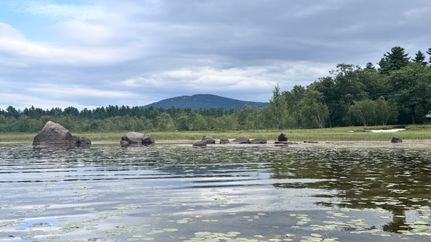 Lakefront Property for sale in Oxford County, Maine