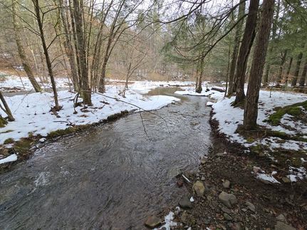 Timberland Property for sale in Chenango County, New York