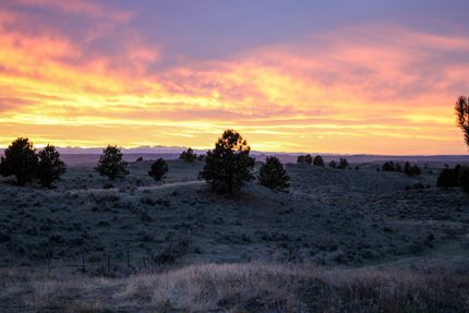 Timberland Property for sale in Campbell County, Wyoming