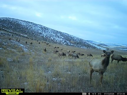 Recreational Property for sale in Moffat County, Colorado