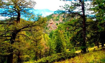 Property for sale in Teller County, Colorado