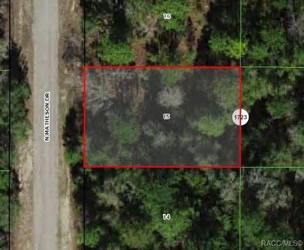 Undeveloped Land for sale in Citrus County, Florida