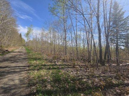 Undeveloped Land for sale in Aroostook County, Maine