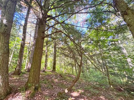 Undeveloped Land for sale in Chippewa County, Michigan