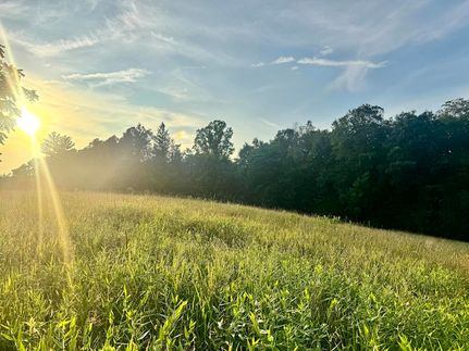 Undeveloped Land for sale in Nicholas County, West Virginia