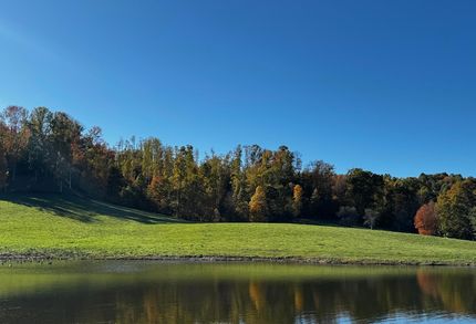Undeveloped Land for sale in Nicholas County, West Virginia