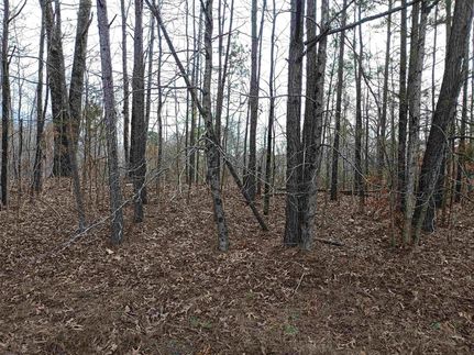Undeveloped Land for sale in Madison County, Tennessee