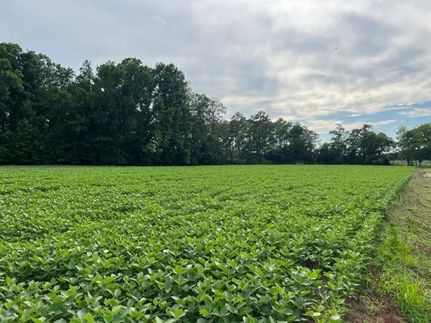 Undeveloped Land for sale in Accomack County, Virginia