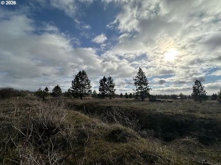 Undeveloped Land for sale in Klickitat County, Washington