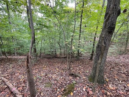 Undeveloped Land for sale in Oconee County, South Carolina