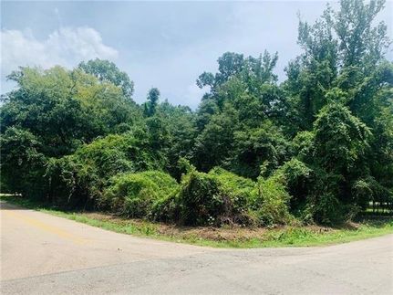 Undeveloped Land for sale in Saint Tammany Parish, Louisiana