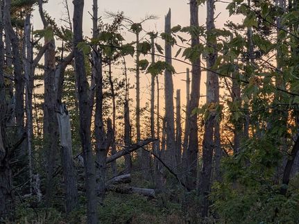 Residential Property for sale in Bayfield County, Wisconsin