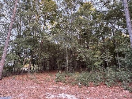 Property for sale in Decatur County, Georgia
