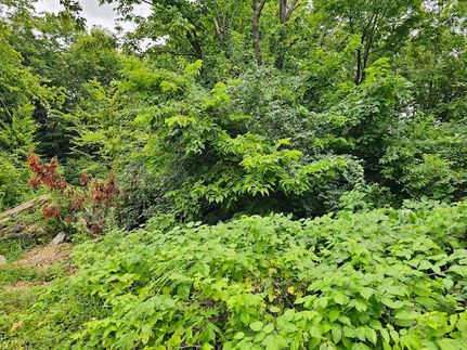 Undeveloped Land for sale in Anderson County, Kentucky