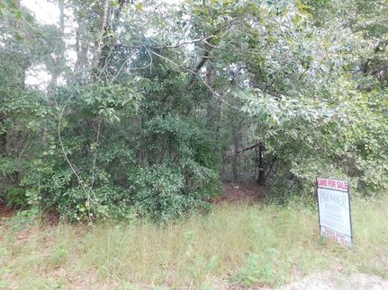 Undeveloped Land for sale in Tattnall County, Georgia