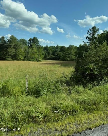 Undeveloped Land for sale in Greene County, New York