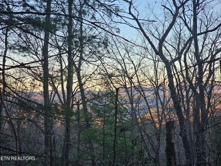 Undeveloped Land for sale in Blount County, Tennessee