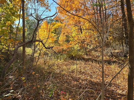 Undeveloped Land for sale in Androscoggin County, Maine
