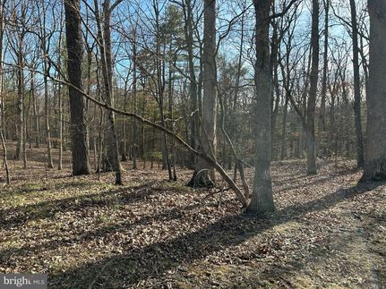 Undeveloped Land for sale in Hampshire County, West Virginia