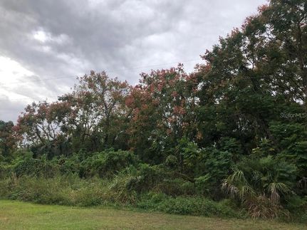 Undeveloped Land for sale in Seminole County, Florida