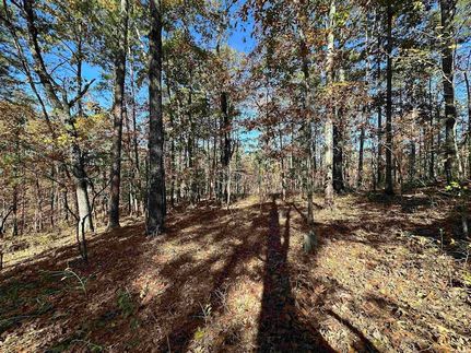 Undeveloped Land for sale in Saline County, Arkansas