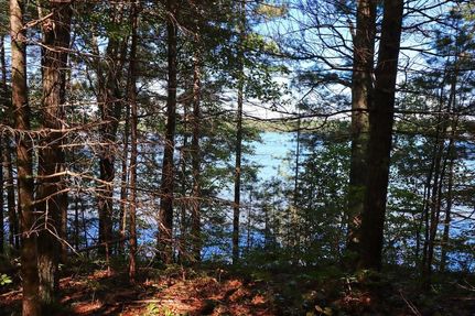 Property for sale in Vilas County, Wisconsin