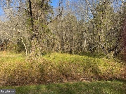 Undeveloped Land for sale in Wicomico County, Maryland