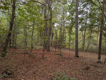Property for sale in Lauderdale County, Alabama