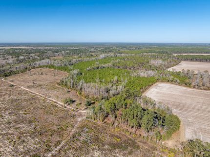 Timberland Property for sale in Berrien County, Georgia