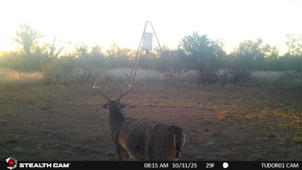 Ranch Property for sale in Stonewall County, Texas