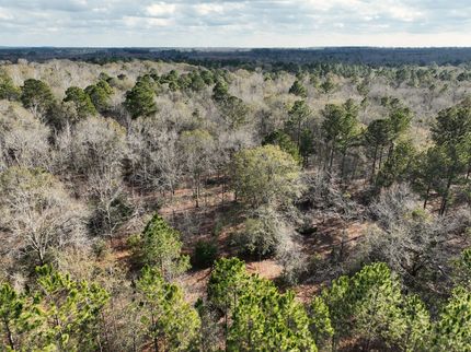 Undeveloped Land for sale in Telfair County, Georgia