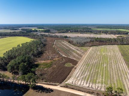 Residential Property for sale in Berrien County, Georgia