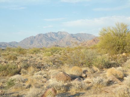 Property for sale in Mohave County, Arizona