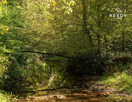 Property for sale in Cherokee County, South Carolina